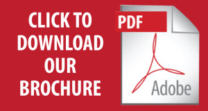 pdf-brochure